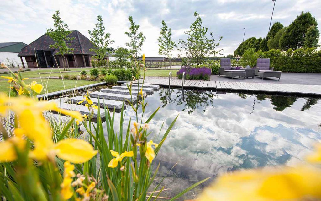 0009 004 Voet Landelijk Zwemvijver Salvia Ligbed Beams 640 1024X640 1024X640